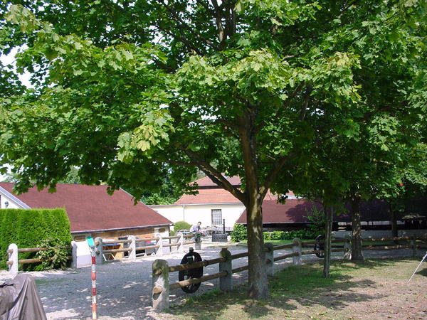 Weltenbummler Oberbayern 012.jpg